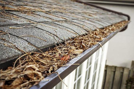 Gutter Guard